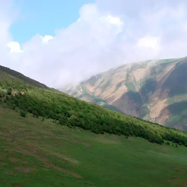 تصویر سایت دیده‌بان ارزیابی محیط زیستی