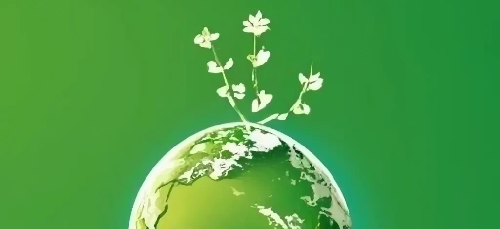 حمایت مالی